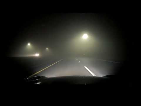 Mau5trap 175 Bensley Guest mix 01 27 2022 Deadmau5