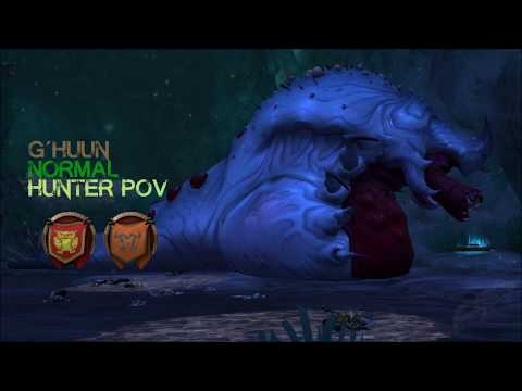 KANN DES SEIN & Zynoria vs G´huun (Normal - Hunter PoV)