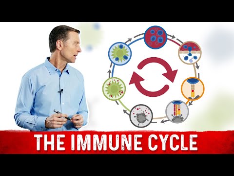 Shingles Natural Relief