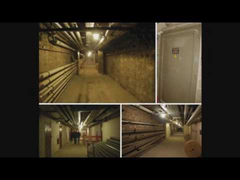 dino-dog; Kazkami " Chemin séparé" non mixé