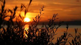 EMAGION - Far Away (Radio Edit)