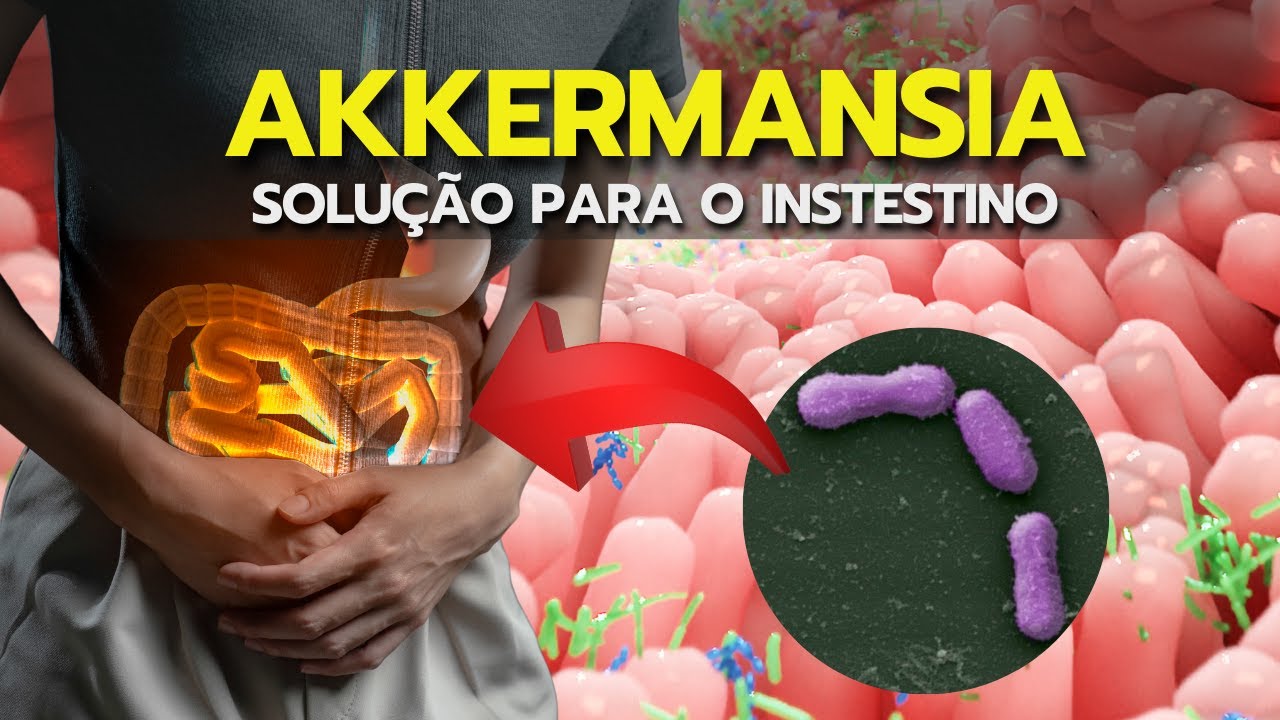AKKERMANSIA MUCINIPHILA: O Probiótico Revolucionário para a Saúde Intestinal