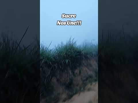 Sucre nos une. #Sucre #Neblina #Frio #AndresMata