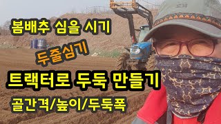 봄배추 심는방법 트랙터로 두둑 만들기 두줄심기 [배추재배방법] 골간격 폭 높이