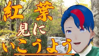 【2022/10/20】奥入瀬渓流紅葉見てきた！