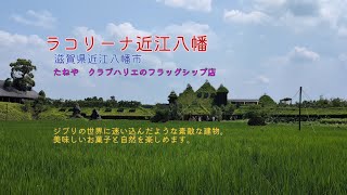 【ラコリーナ近江八幡】ジブリのようなノスタルジック風景、憧れていたラコリーナへ行ってきました。#滋賀県 #風景 #癒し #旅 #お菓子