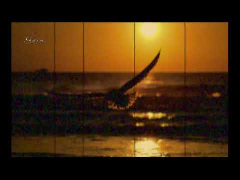 Sharm "AQUILE" - Ernia x Rkomi x Marracash Type Beat