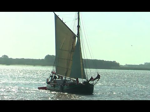 Ewer "Windsbraut" auf der Elbe