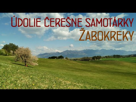 🦅 Údolie čerešne samotárky | Žabokreky | DJI Mavic Mini