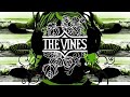 The Vines - Dope Train (Instrumental)