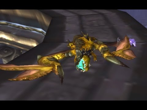 WOW - The Storm Peaks - Time-Lost Proto-Drake Kill