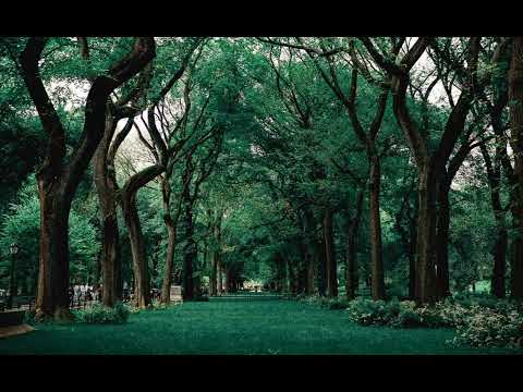 Rachel Portman - One Day : We Had Today (Piano Version)