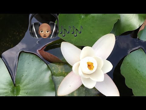 ❤️💙💚this Natural 🎶 ?☺️