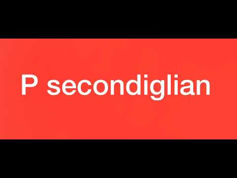Gir p Secondigliano remix geolier nicola sciliano