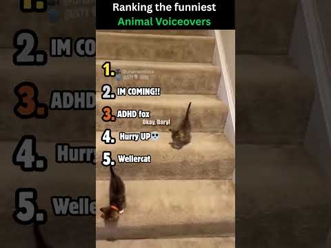 Funniest Animal Voiceovers That Make Too Much Sense