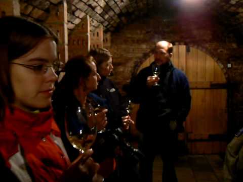 Sklípek Velké Bílovice Dalibor Osička