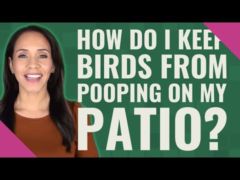 YouTube video about: How to stop birds from pooping on my patio?