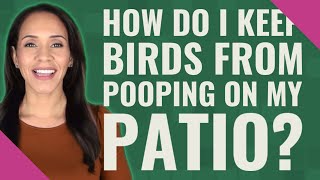 How do I keep birds from pooping on my patio?