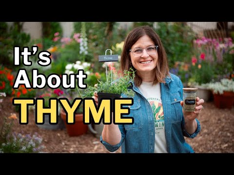THYME GROWING GUIDE: 5 Tips for Success