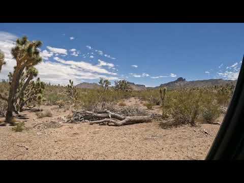 Maribeth’s Property