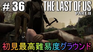 #36【The Last of Us Part II】初見最高難易度グラウンドで美少女たちが暴れん坊将軍