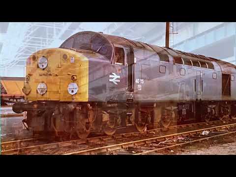 Class 40 Photo Slideshow