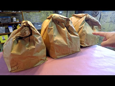 Other 2 grow bags, with compost barrel's contents, examined - worm farm vermicompost