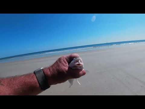 Fishing Surf for Whiting on YouTube