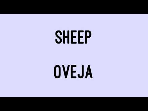 Spanish Word Of The Day: Oveja