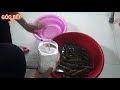 Cách làm me ngâm không bị đến