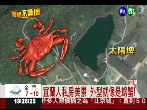 丹頂鶴報到! 太陽埤神秘美景