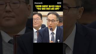 '대장동 청문회' 출석한 이원석 무슨 말만 하면 내란 세력 #채널A #shorts #30짤