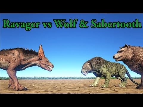 Ravager vs Direwolf, Sabertooth and Purlovia! || ARK Aberration || Cantex