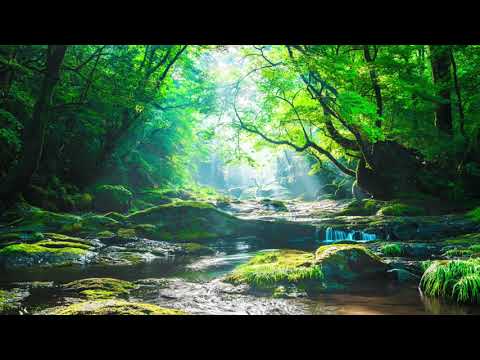 OmShivaShizzle - Lohita