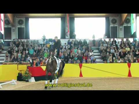 DVM 2012 - Herren 11 - Lasse Dröscher