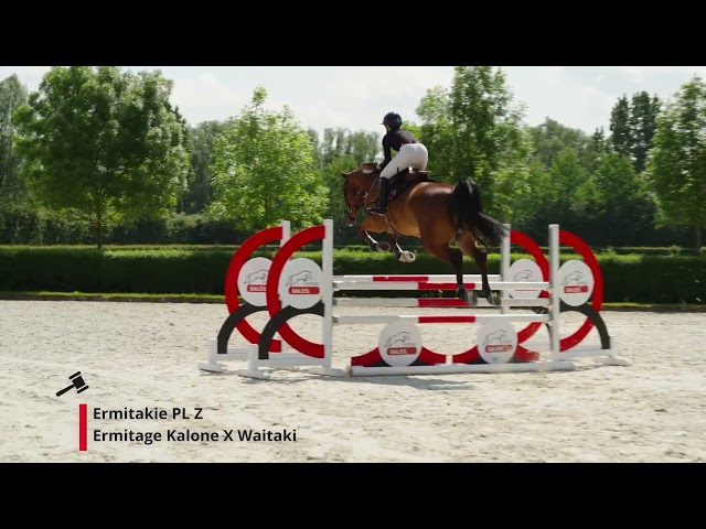 Ermitakie PL (Ermitage Kalone x Waitaki).
