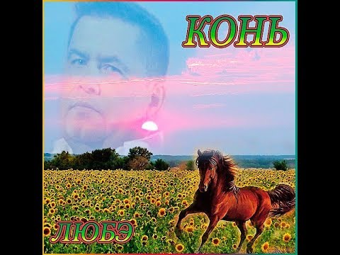 любэ   конь (cover)