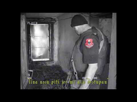 mlvvd x dusi-shiptarska konekcija