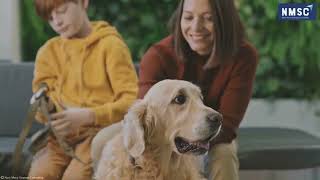Exploring the Dynamics of the Animal Health Market | 2024-2030 Analysi