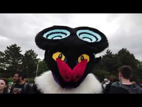 Dokomi 2019 Montage