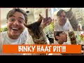 Dit haat jouw kat waarschijnlijk ook! | DierenpraatTV