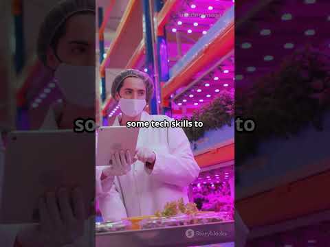 Hydroponic vs. Soil: Strawberry Showdown! 🍓