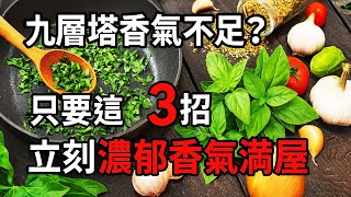 🌿 九層塔香氣不足？只要這3招，立刻濃郁香氣滿屋 | 九層塔 | 家庭園藝 | 香草植物 | 澆水方法 | 爆香秘訣