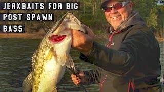 Why You Should Fish Jerkbaits for Post Spawn Bass