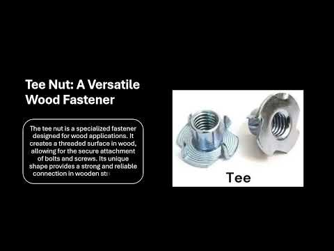 Different Nut Types