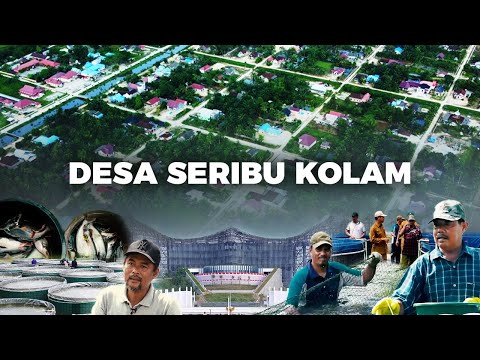 Desa Seribu Kolam