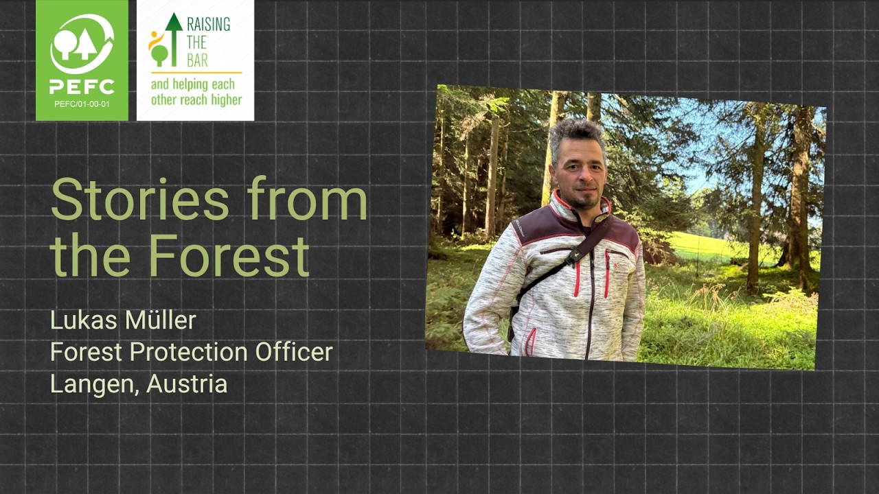 In the forest with Lukas Müller: how small forests make a big difference
