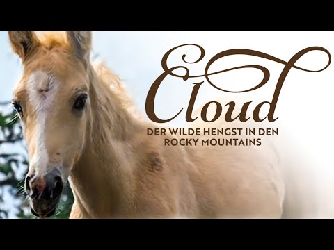 Cloud – Der wilde Hengst in den Rocky Mountains (Pferdedokumentation I ganze Film anschauen)