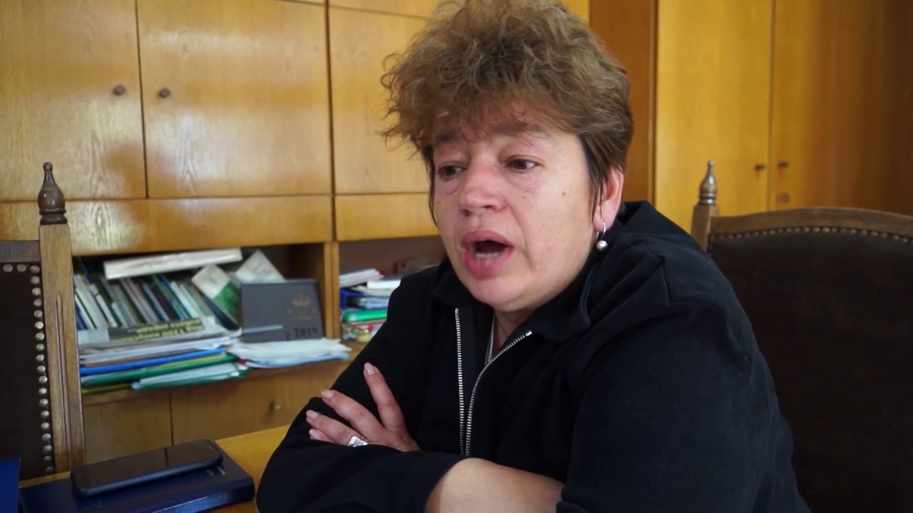 По 50 заявления на ден за смяна на печките с дърва в Смолян, срокът е до 31 декември