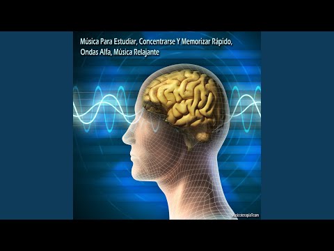 Música Para Estudiar, Concentrarse Y Memorizar Rápido, Ondas Alfa, Música Relajante